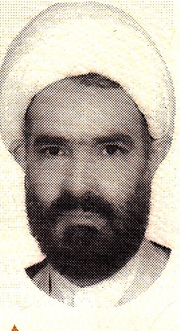 list item image